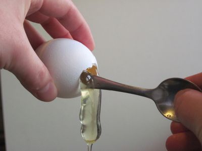Prepping the Egg Shells