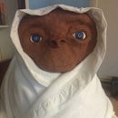 ET: The Extra Terrestrial
