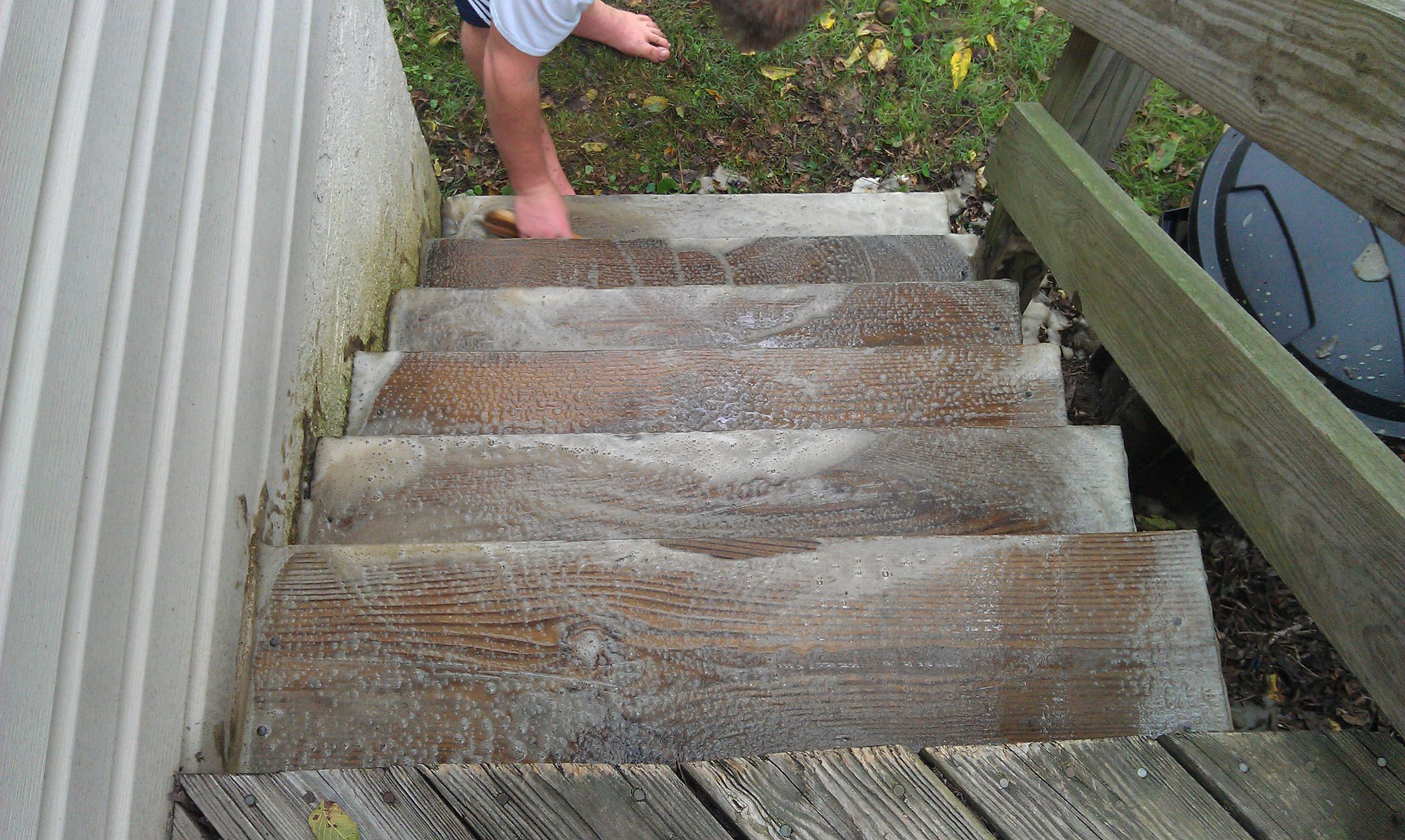 Killing Algae Growing on a Wooden Deck Using Hydrogen Peroxide