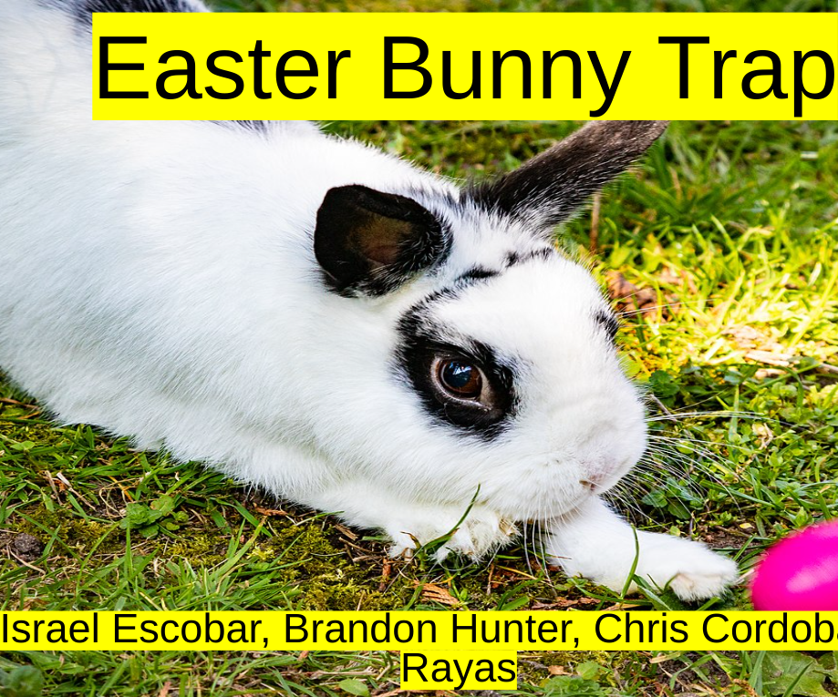 Easter Bunny Trap