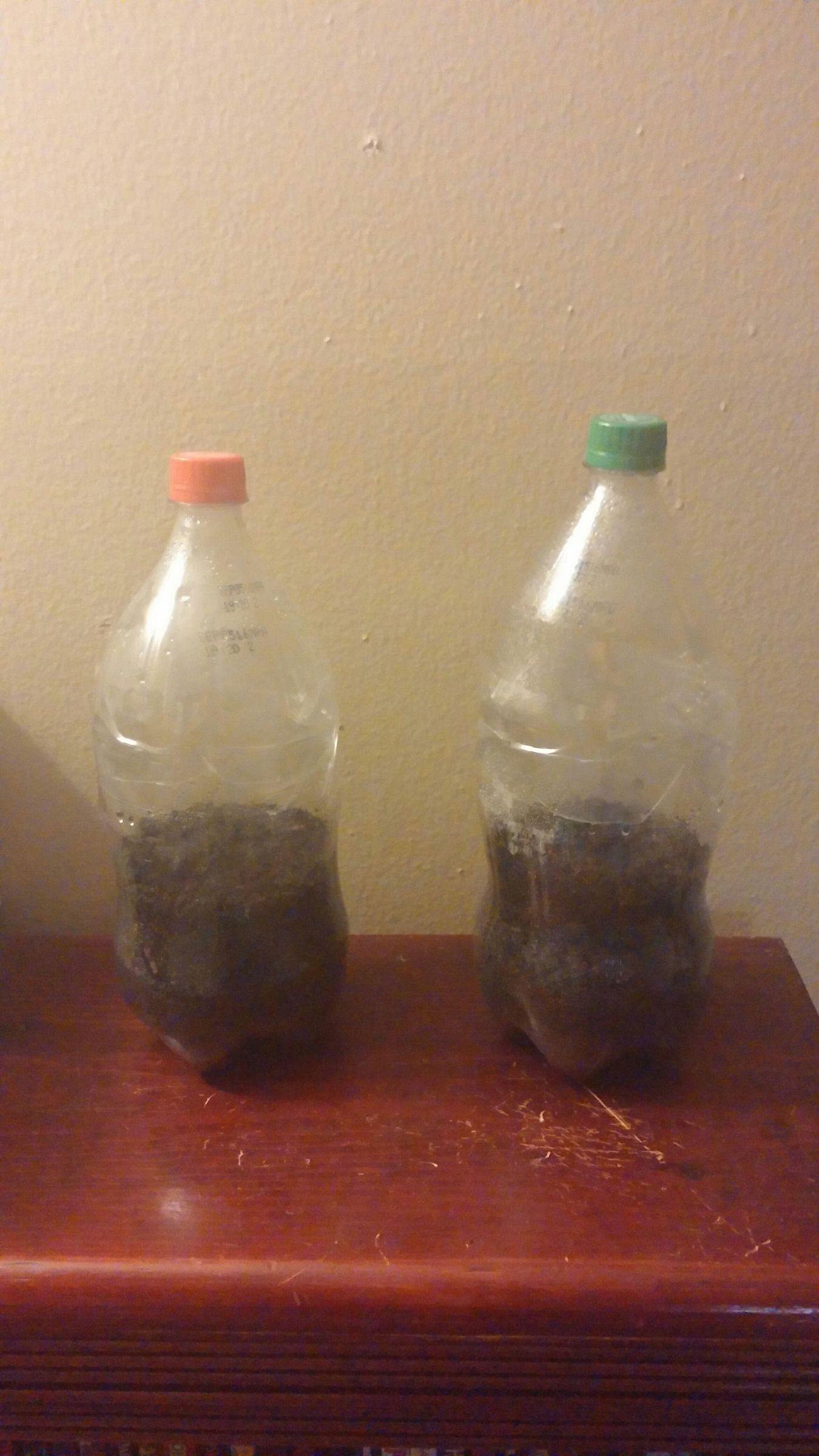 Tiny Greenhouses From Coke Bottles