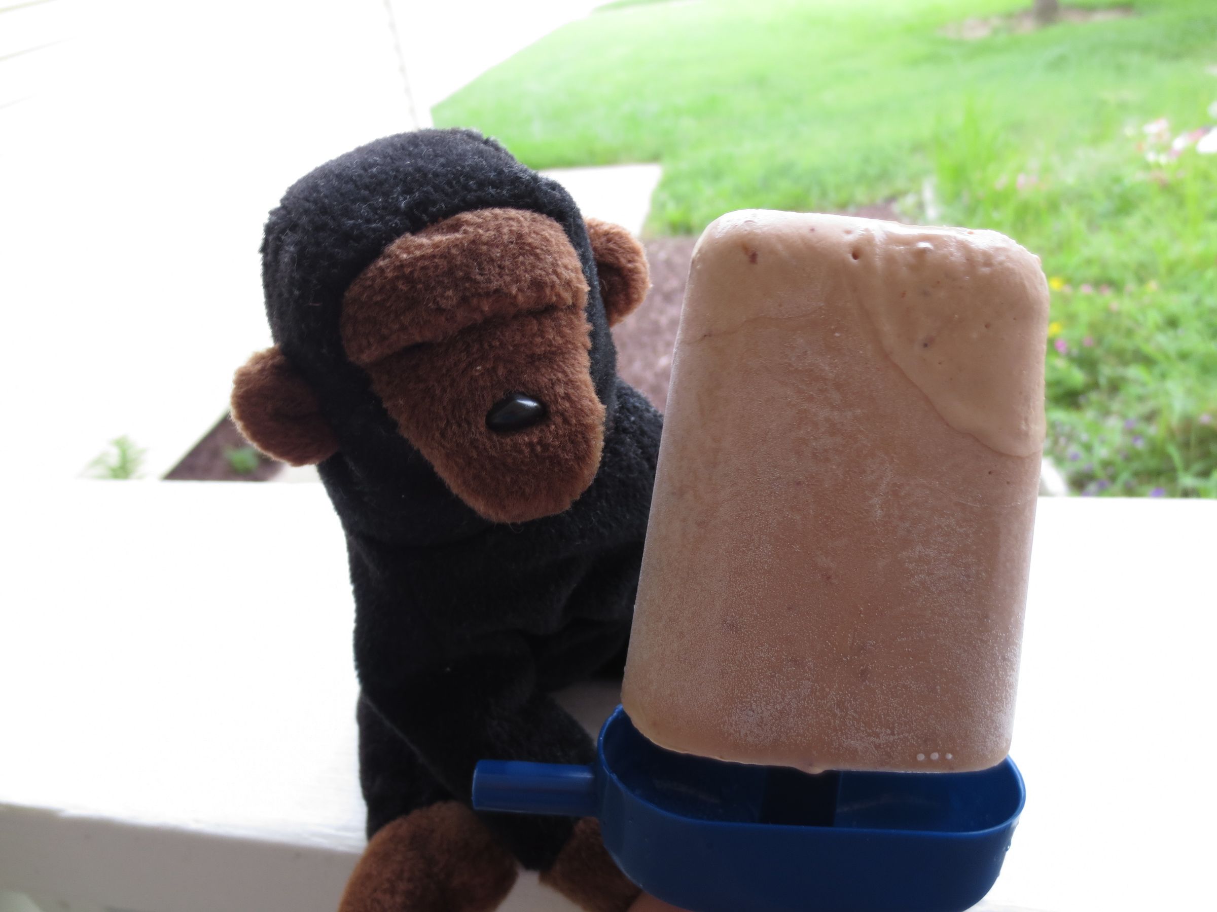 Gorilla Pops
