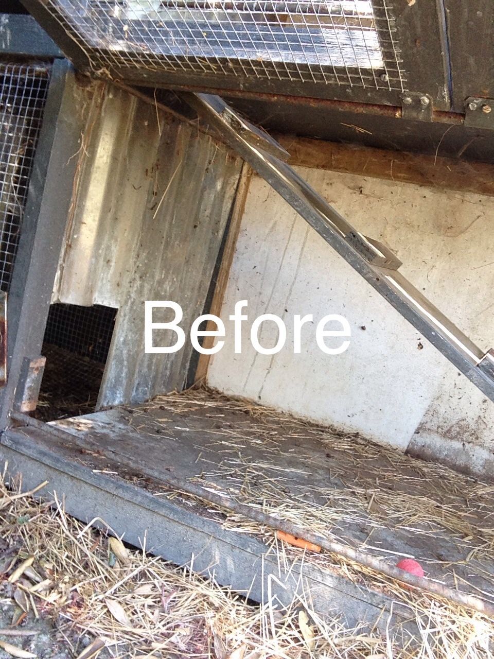 How To Clean A Bunny Hutch!