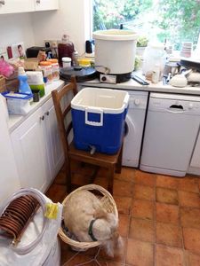 Mashing the Grains