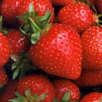 Strawberry Planter Box DIY 20 minutes
