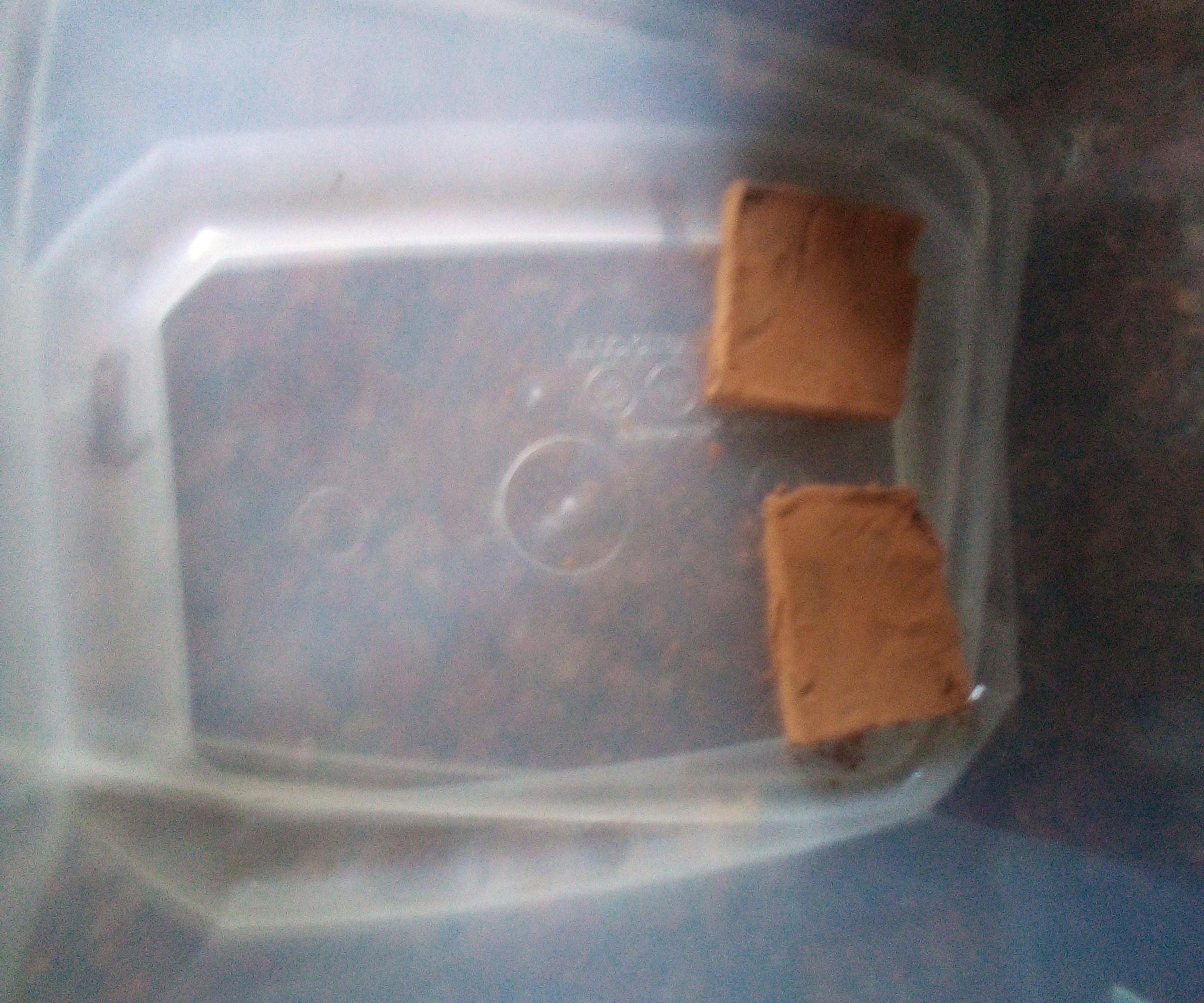Easy Vegan Chocolate/Peanut Butter Fudge