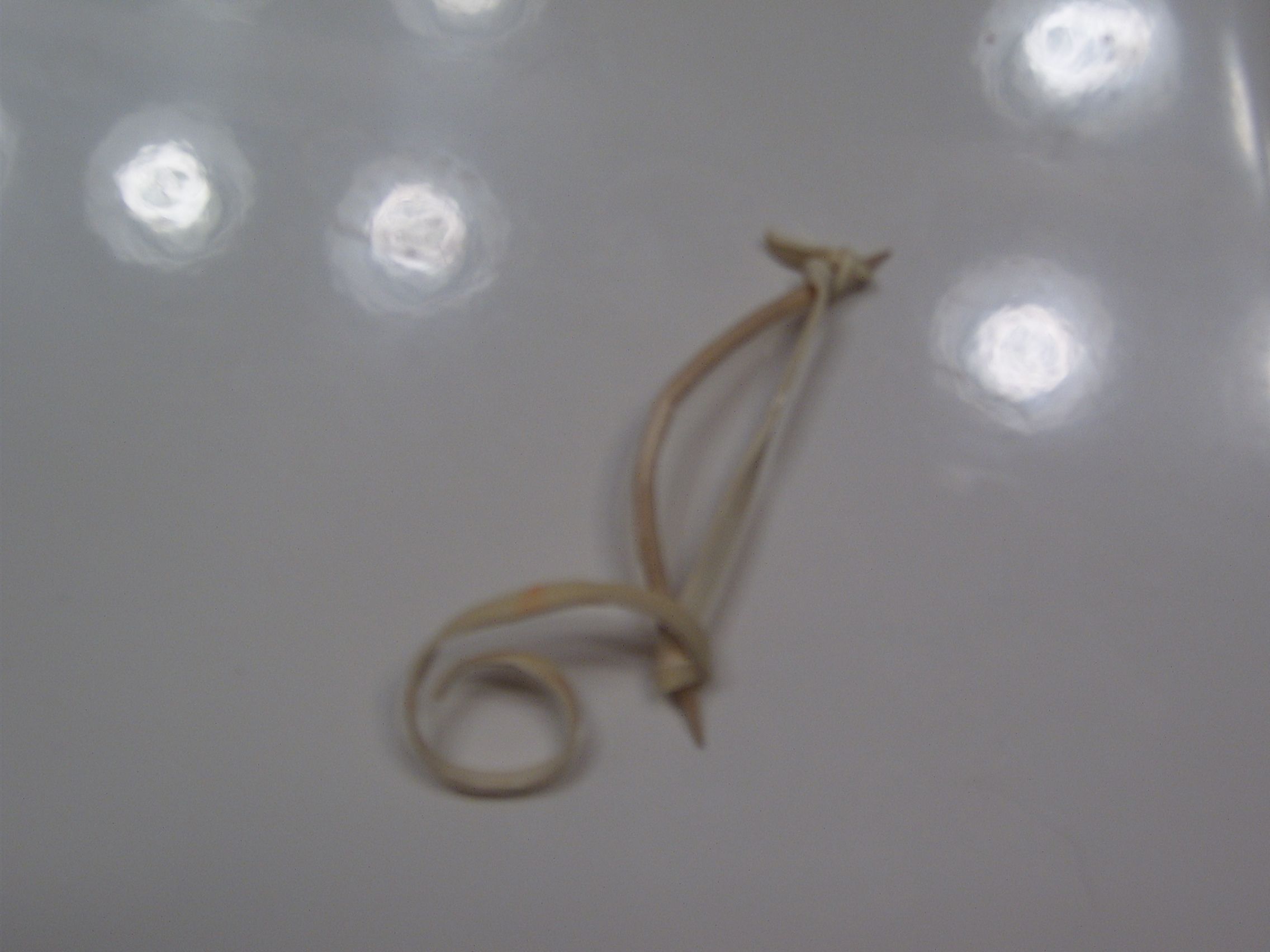 Toothpick Bow and Arrow 4 Steps Instructables