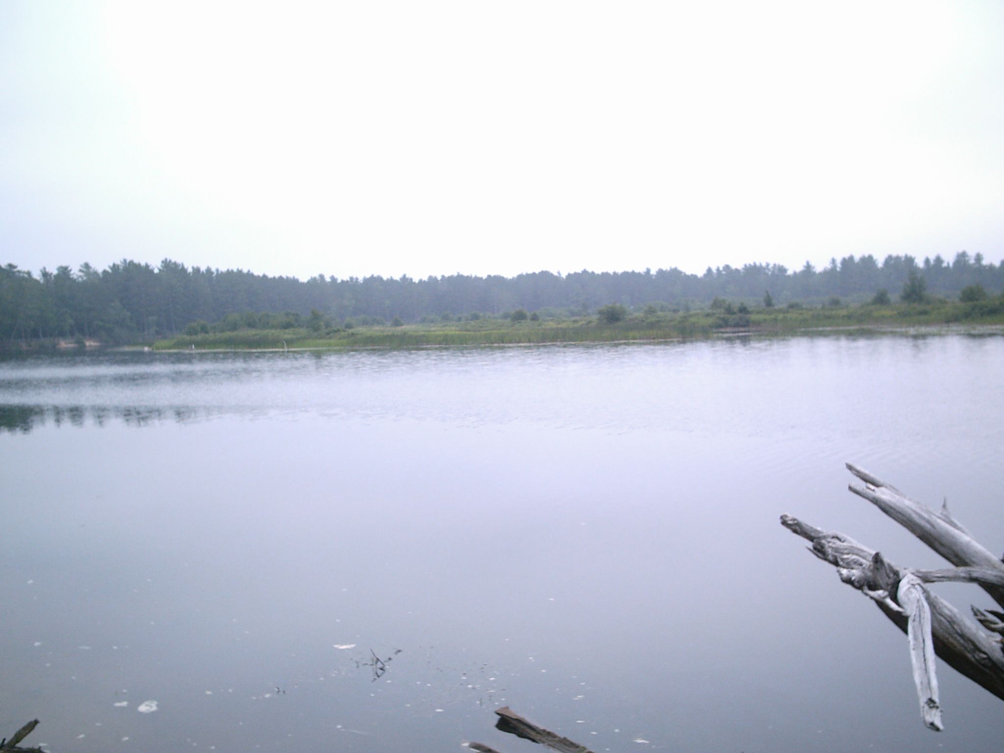 How to Take Good Photos of Nature!!!!