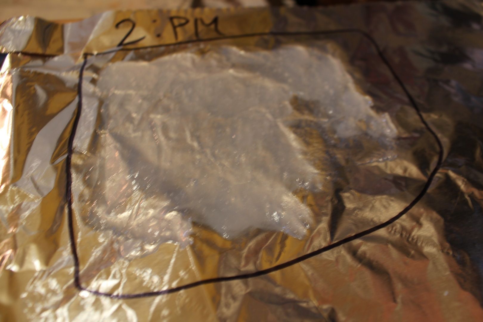 Bio-plastic