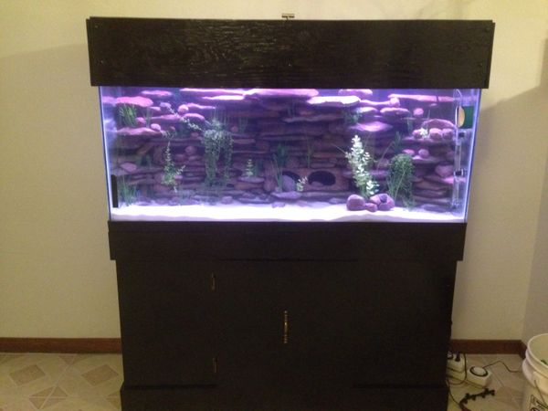 3D Aquarium Background