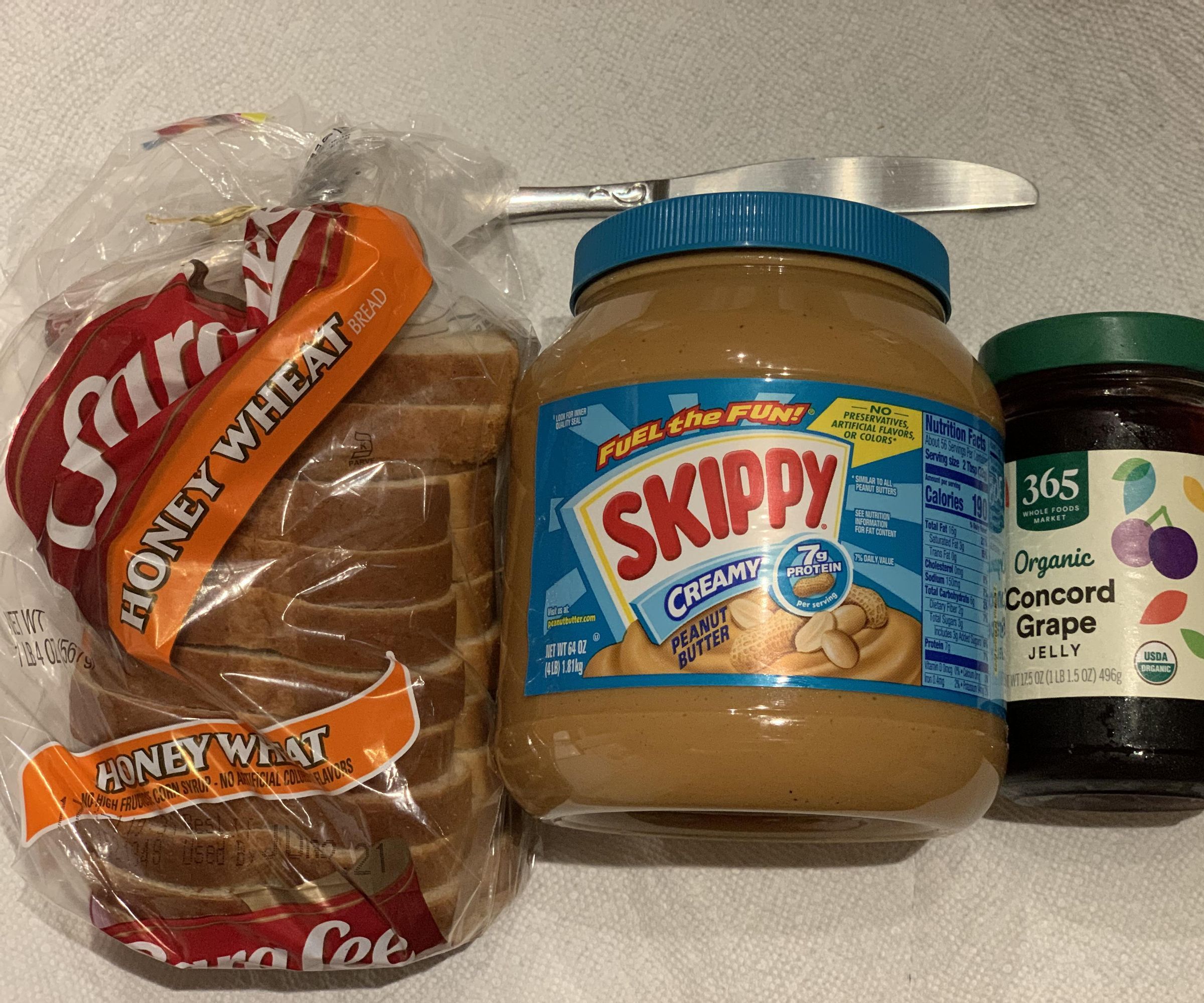 Websites and HTML: Assignment #2: How to Make a PB&J!