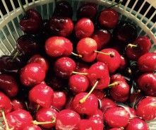 Homemade cherry moonshine (Classic cherry brew) 