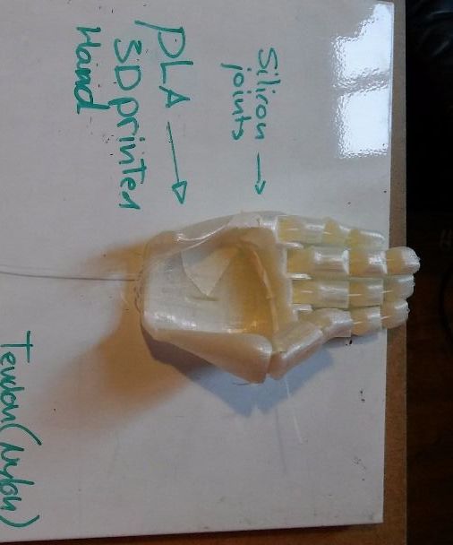 Hand Prothesis With NiTinol Actuator (TfCD Project)