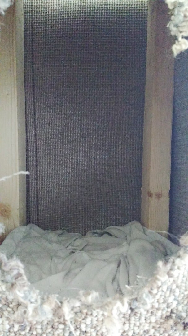 Design a Kitty Condo!