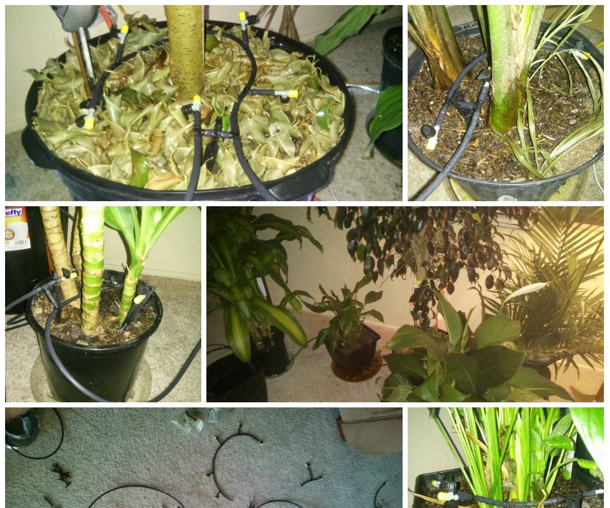Indoor Plant Watering System