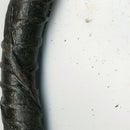 Reclaimed Rebar Letter Opener