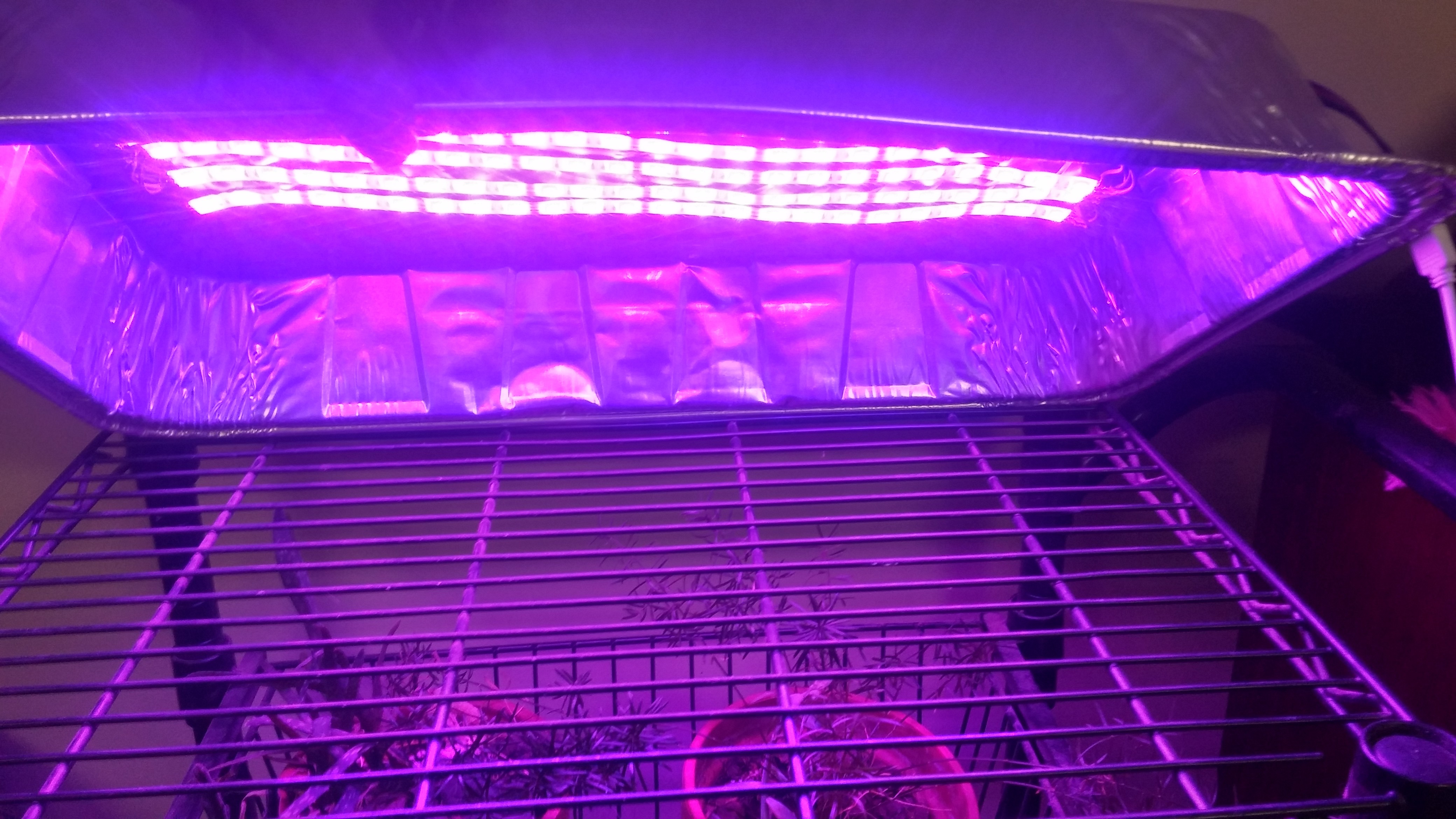 LED Grow Light for Indoor Plants for 30! Easy! 4 Steps Instructables