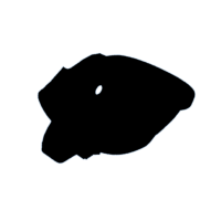 download {{ file.name }}