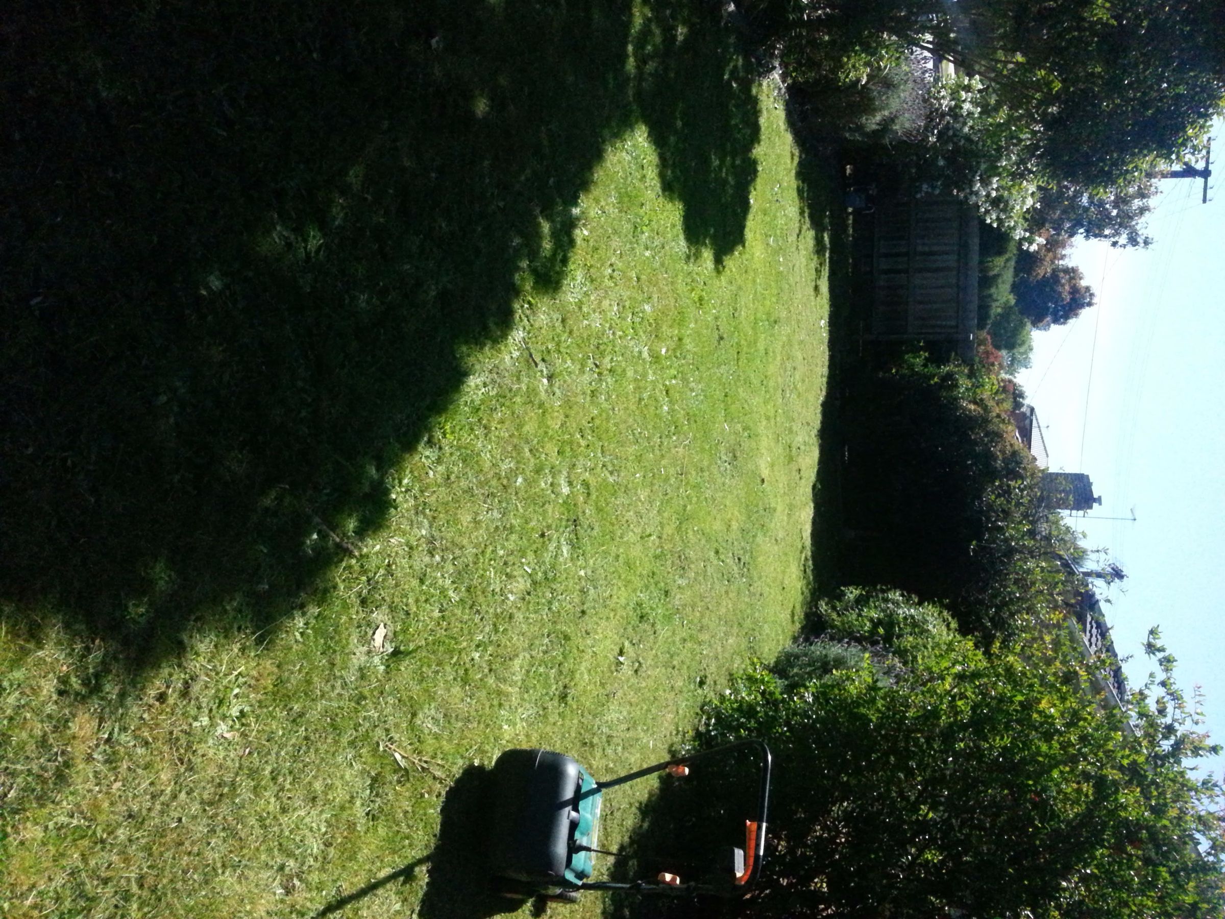 Using Lawn Mower As Mulcher 3 Steps Instructables