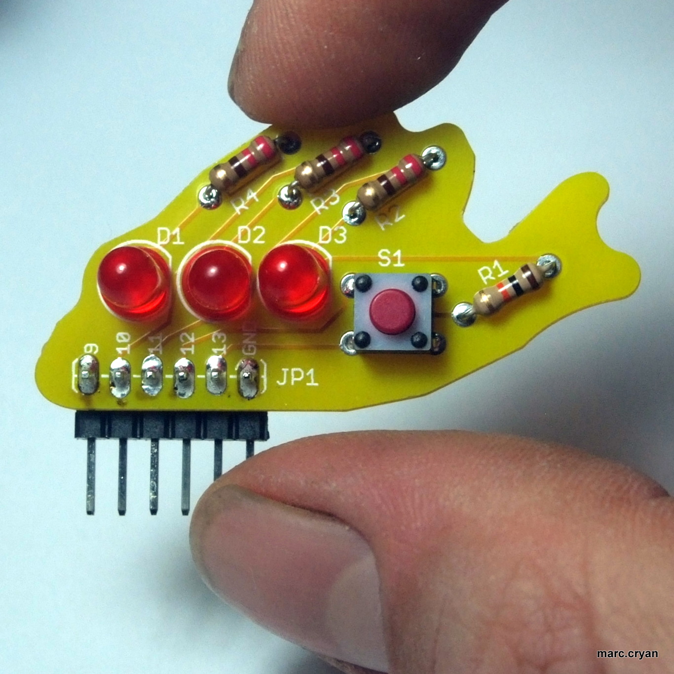 Blinky Fish -  Kickstarter Project