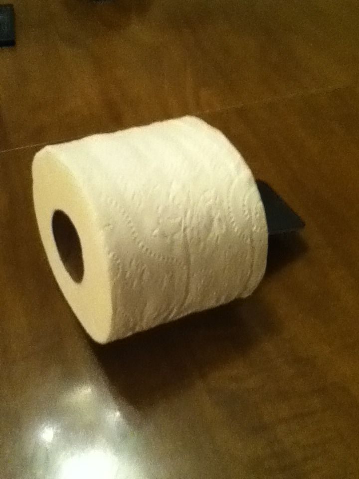 Toilet  Paper Speakers