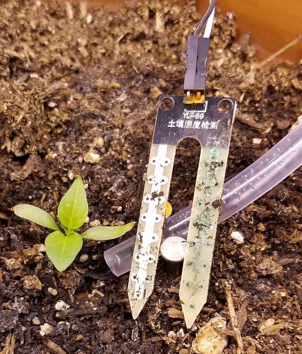 Measuring Soil Moisture