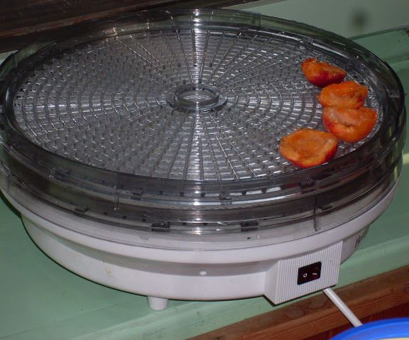 Dehydrating Peaches