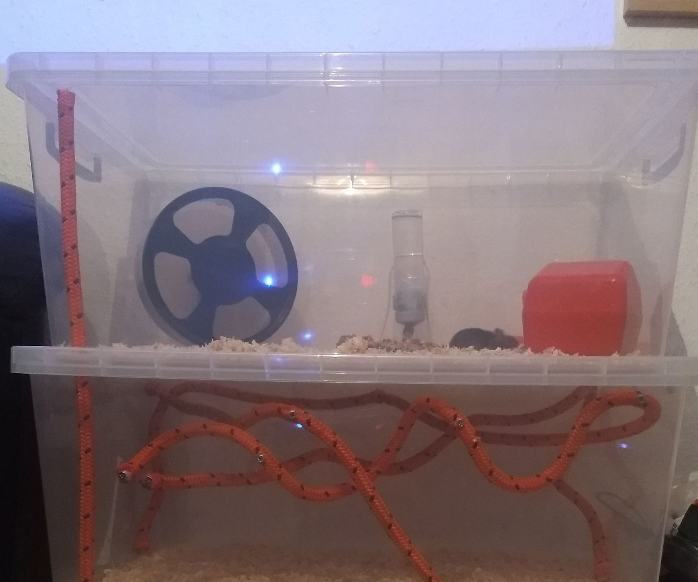 Simple Triple Stack Mouse Home