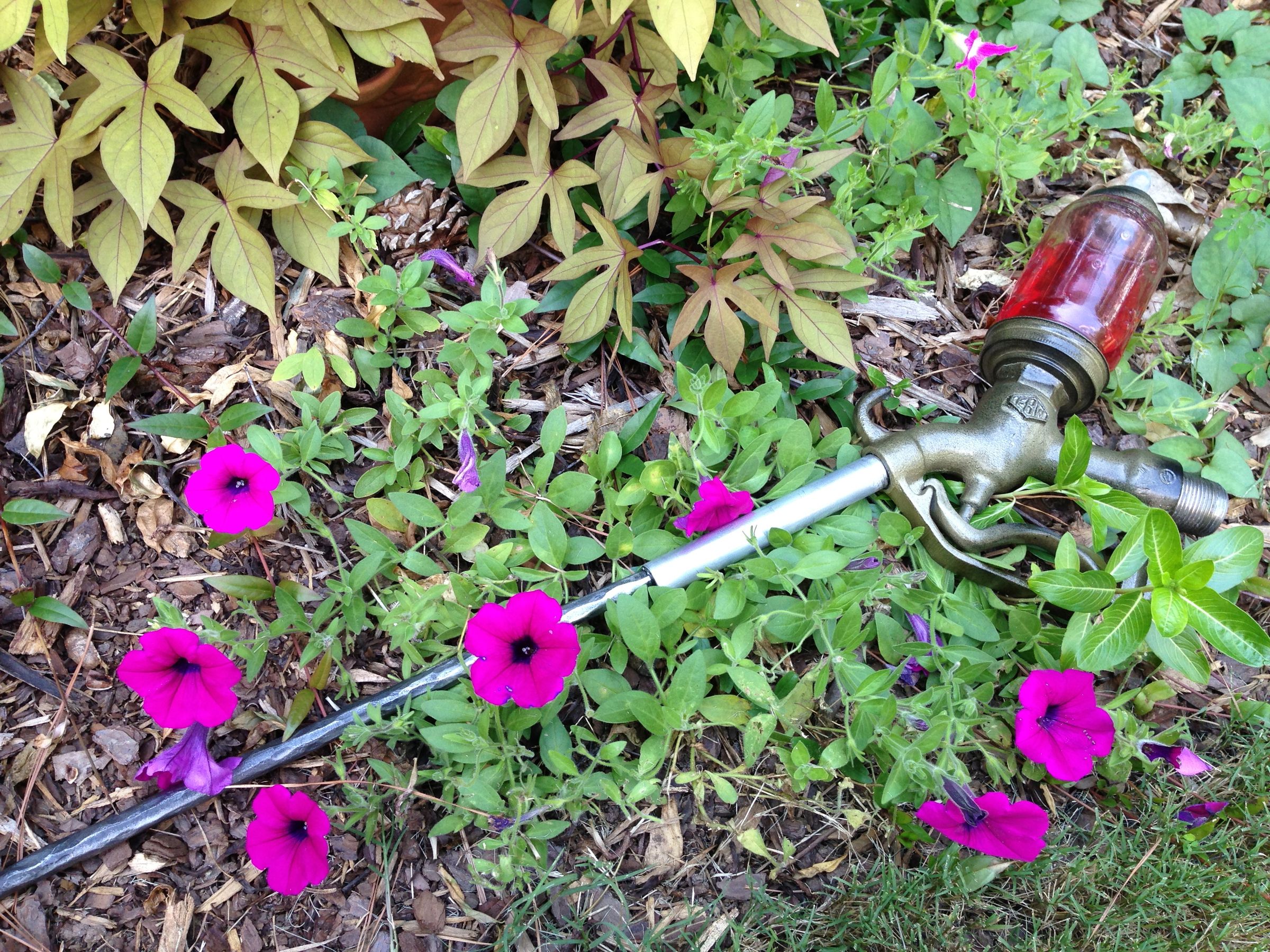 Little Sister Adam Syringe