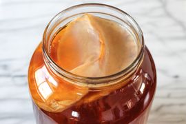 Add in Your Scoby + What to Expect From the Scoby