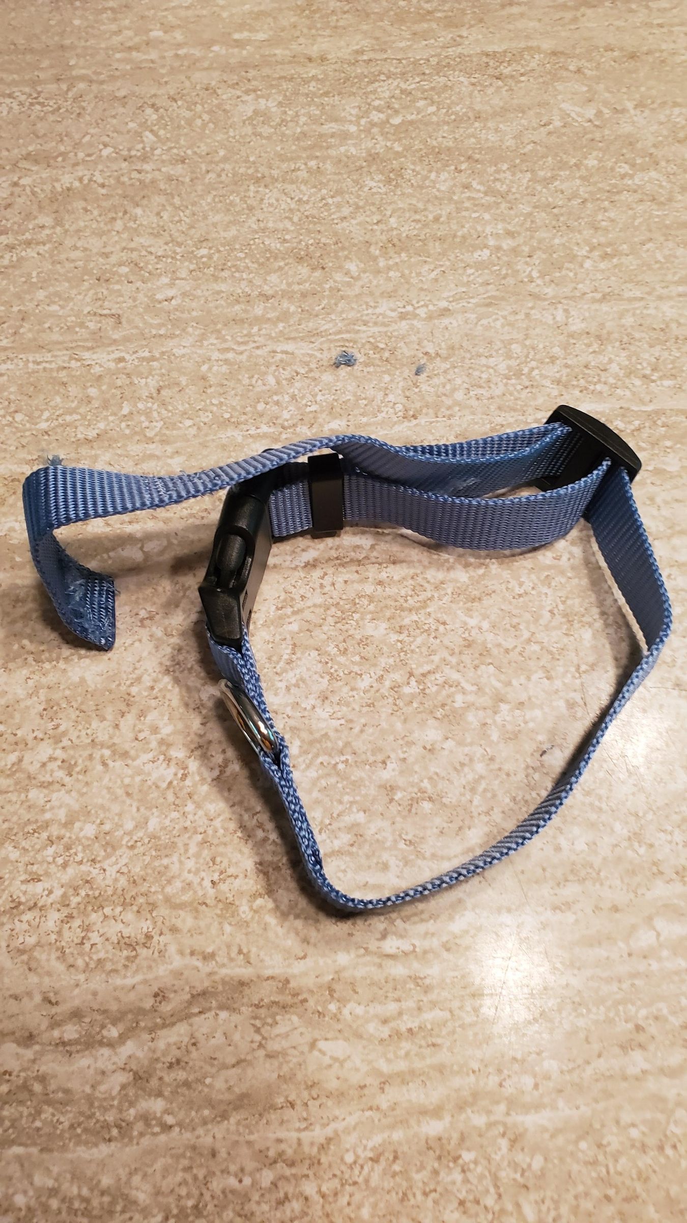 How to Shorten a Dog Collar 3 Steps Instructables