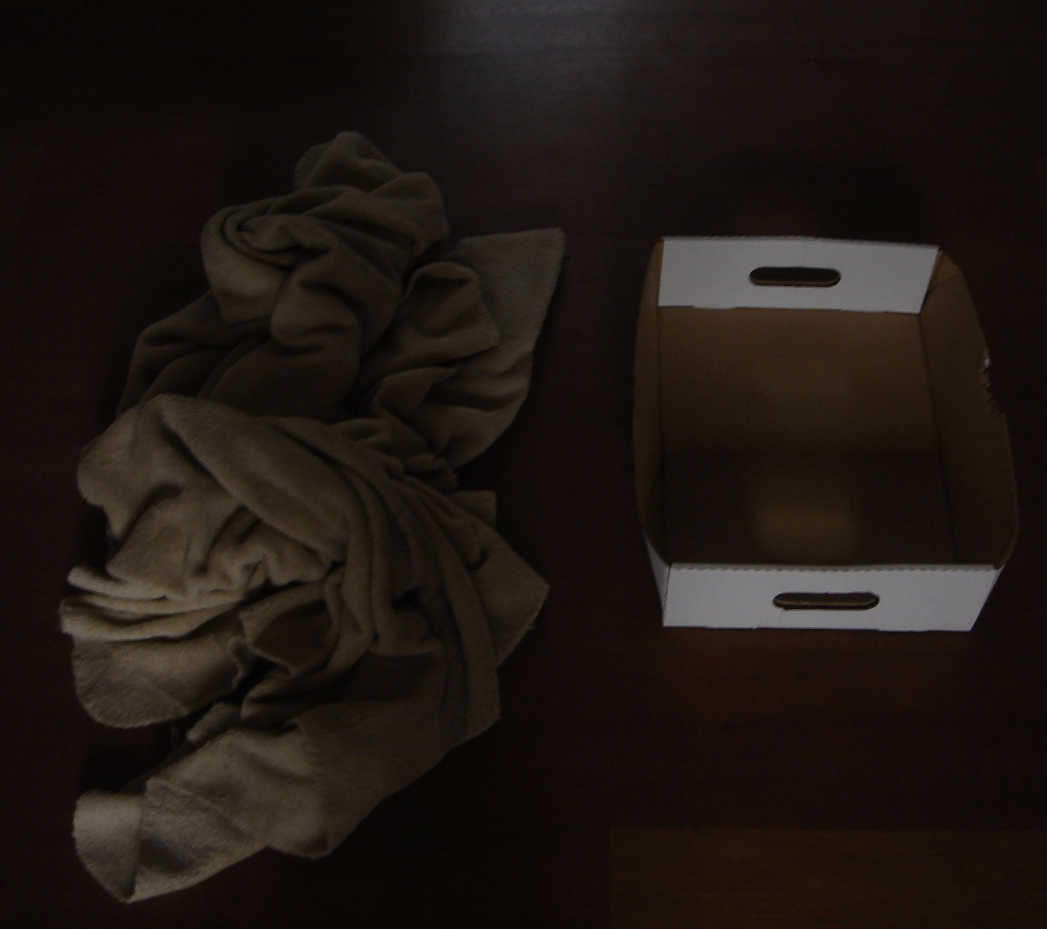 How to Prevent Your Cat From Sleeping in Your Bed 6 Steps Instructables