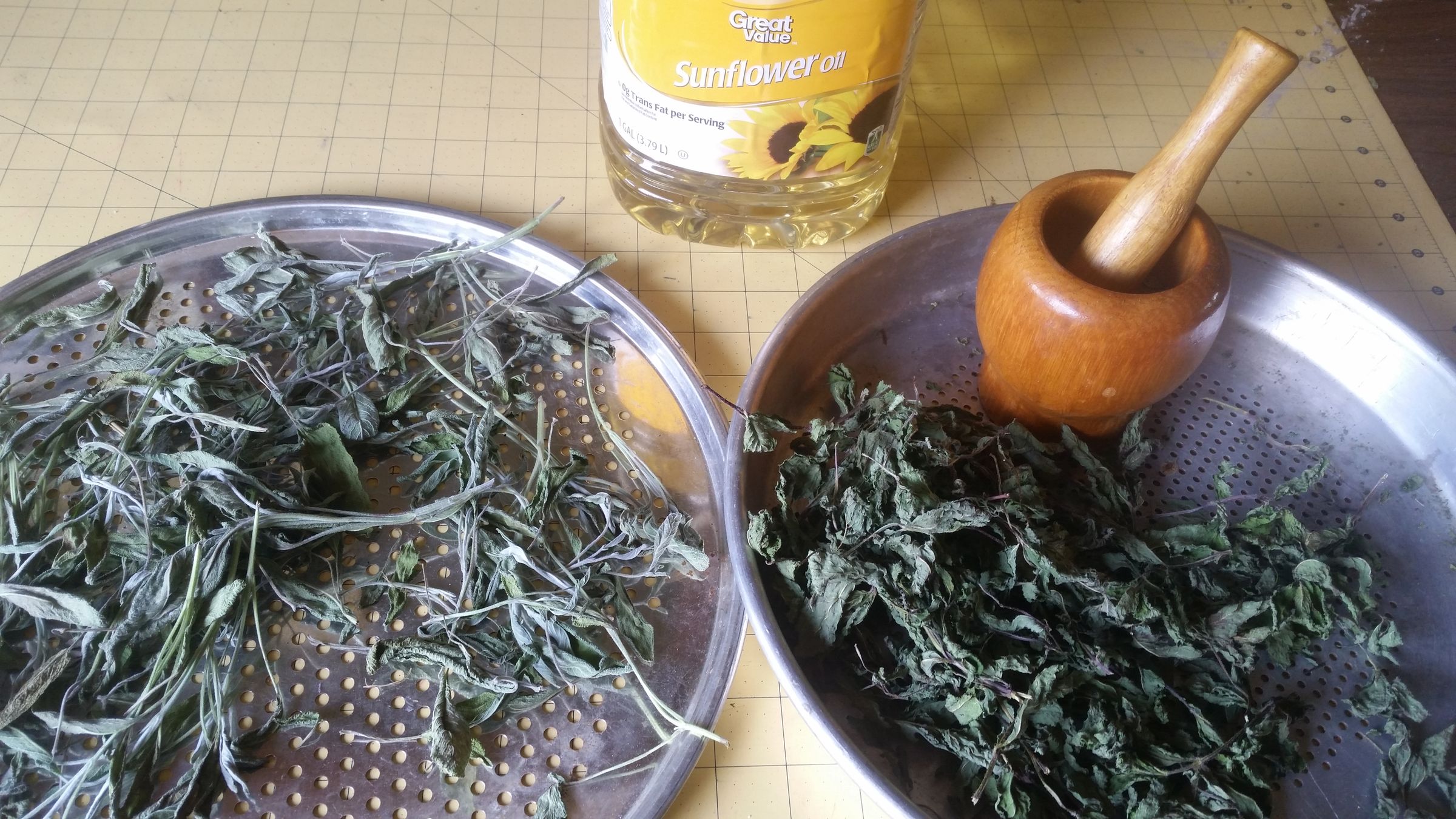 Homemade Herb Oils 5 Steps (with Pictures) Instructables