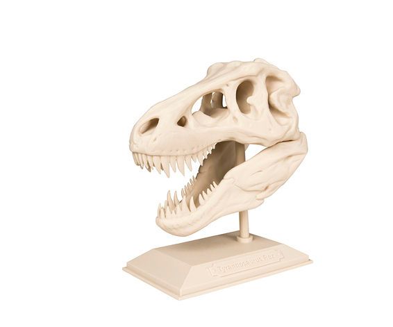 ArchaeBone: Recreating Bone Artifacts With Tissue Engineering