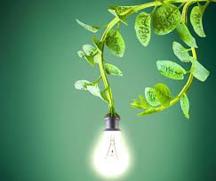 Electricity From Plants