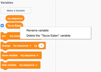 Optional- Make Your Own Variable