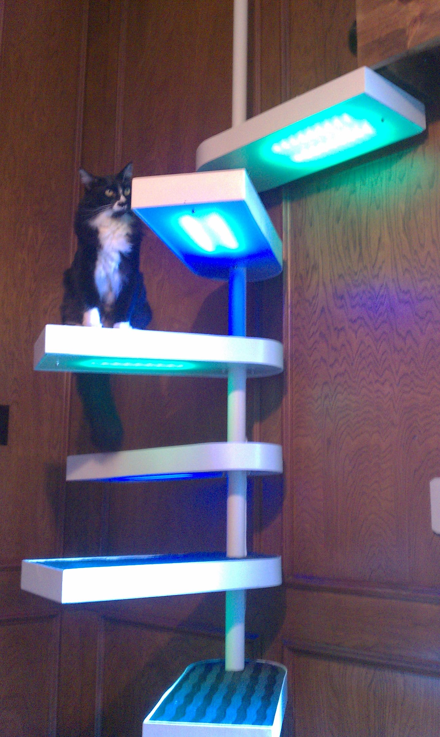 Cat Staircase Deluxe : 25 Steps (with Pictures) - Instructables