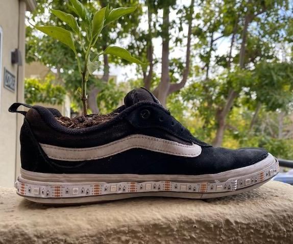Simple Light-Up Shoe Planter