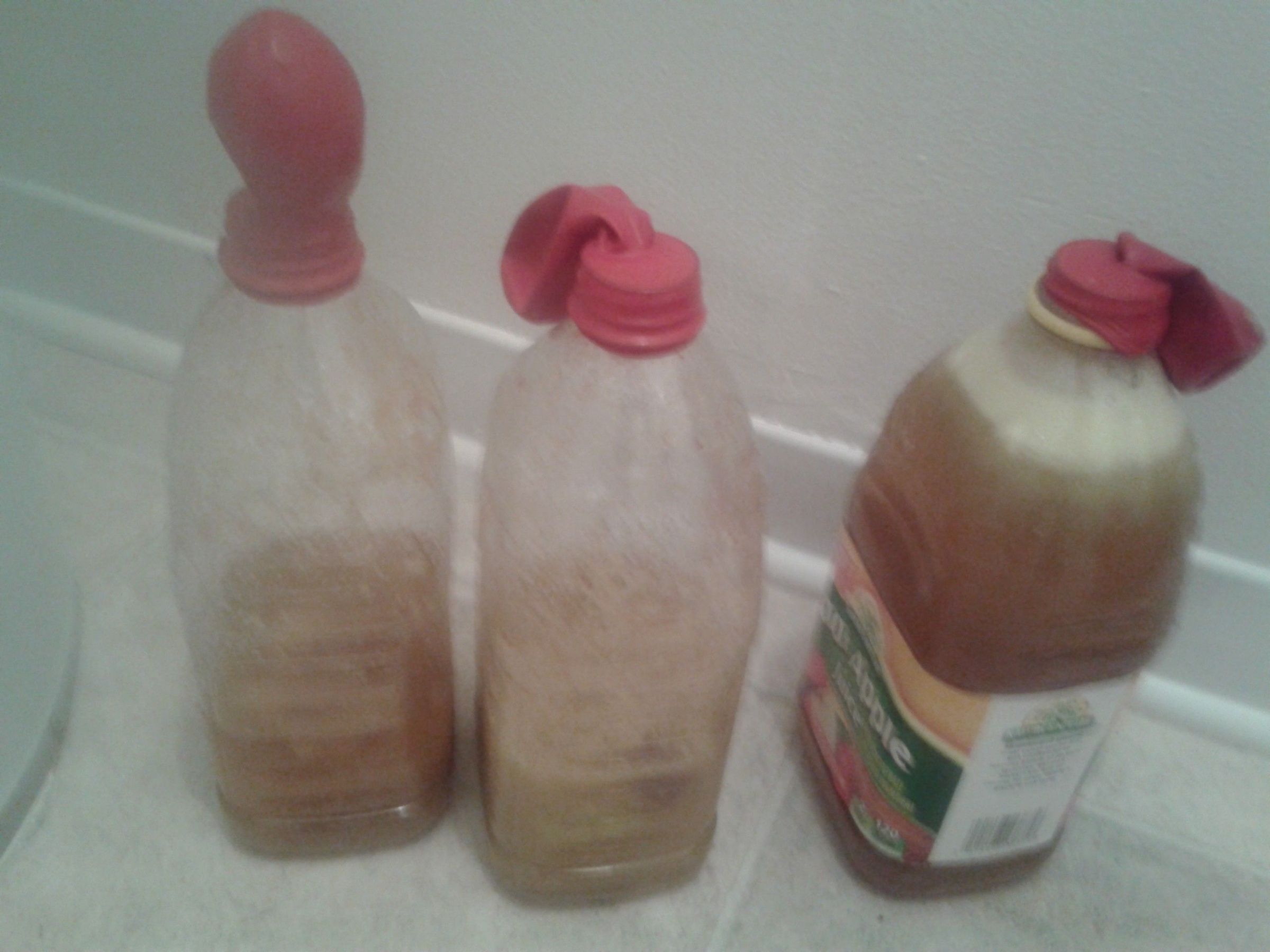 Homemade Apple Yeast