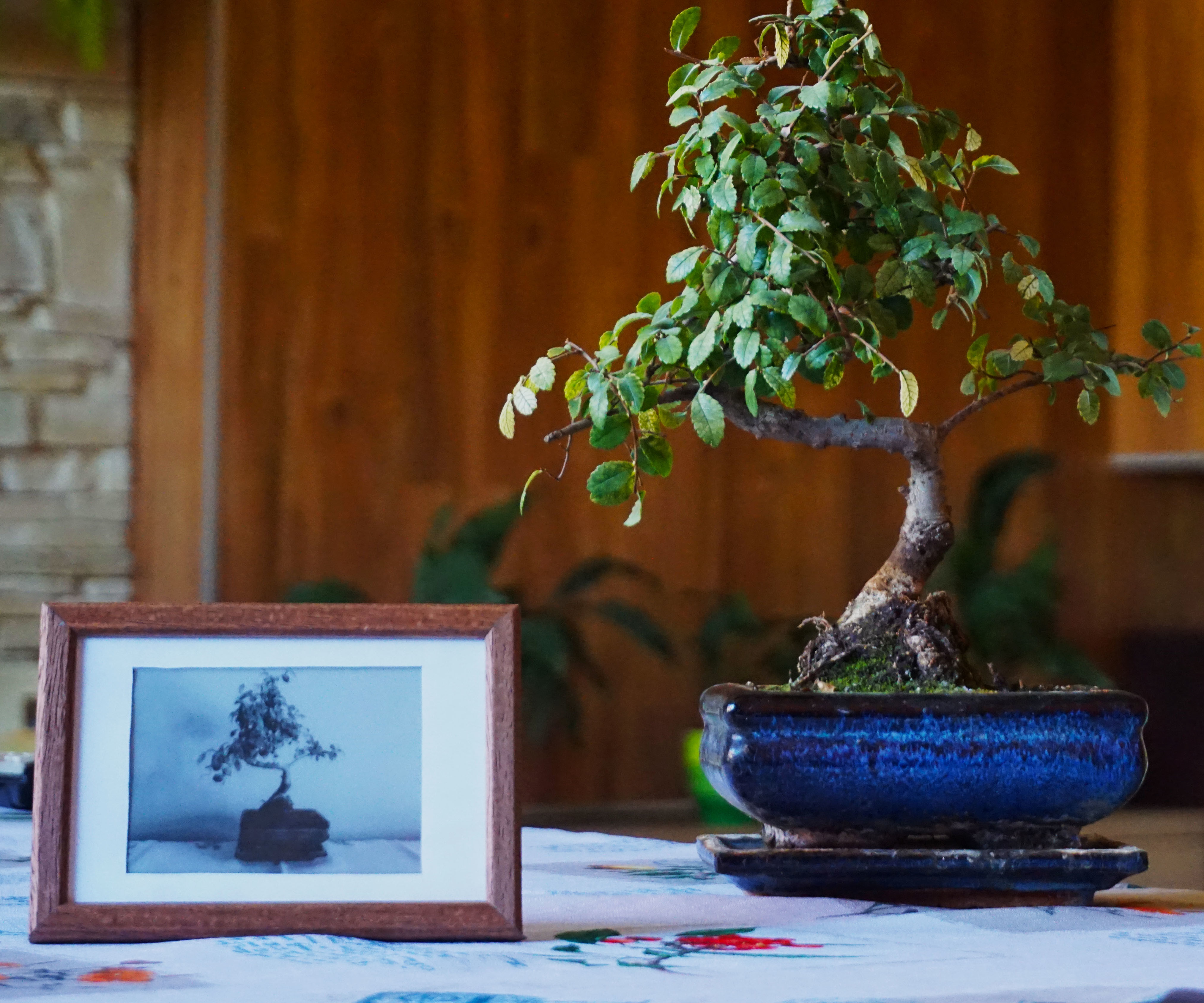 E-Paper Picture Frame