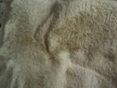 How to Clean a Laptop Screen With Household Products : 7 Steps ...