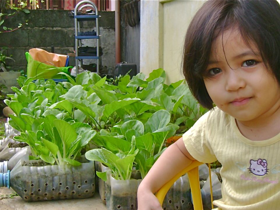 A Choice of Containers to Grow Plants - Part 1