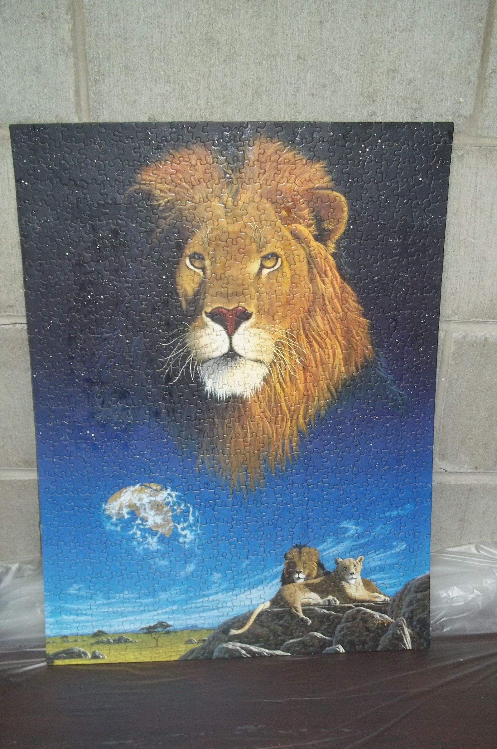 Cheap Way to Save a Puzzle