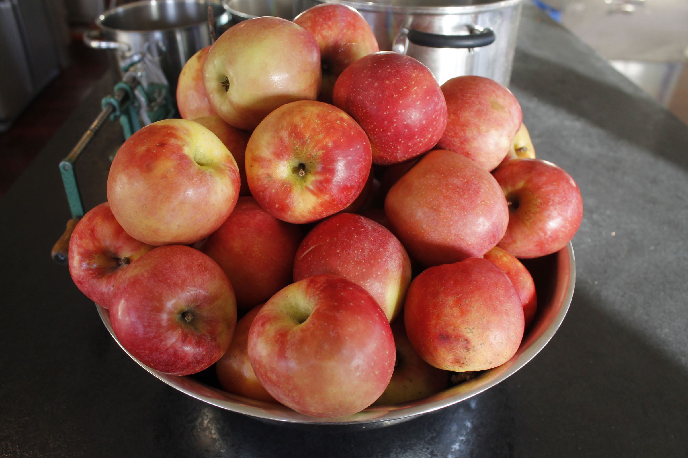 How to Stew Apples 6 Steps (with Pictures) Instructables