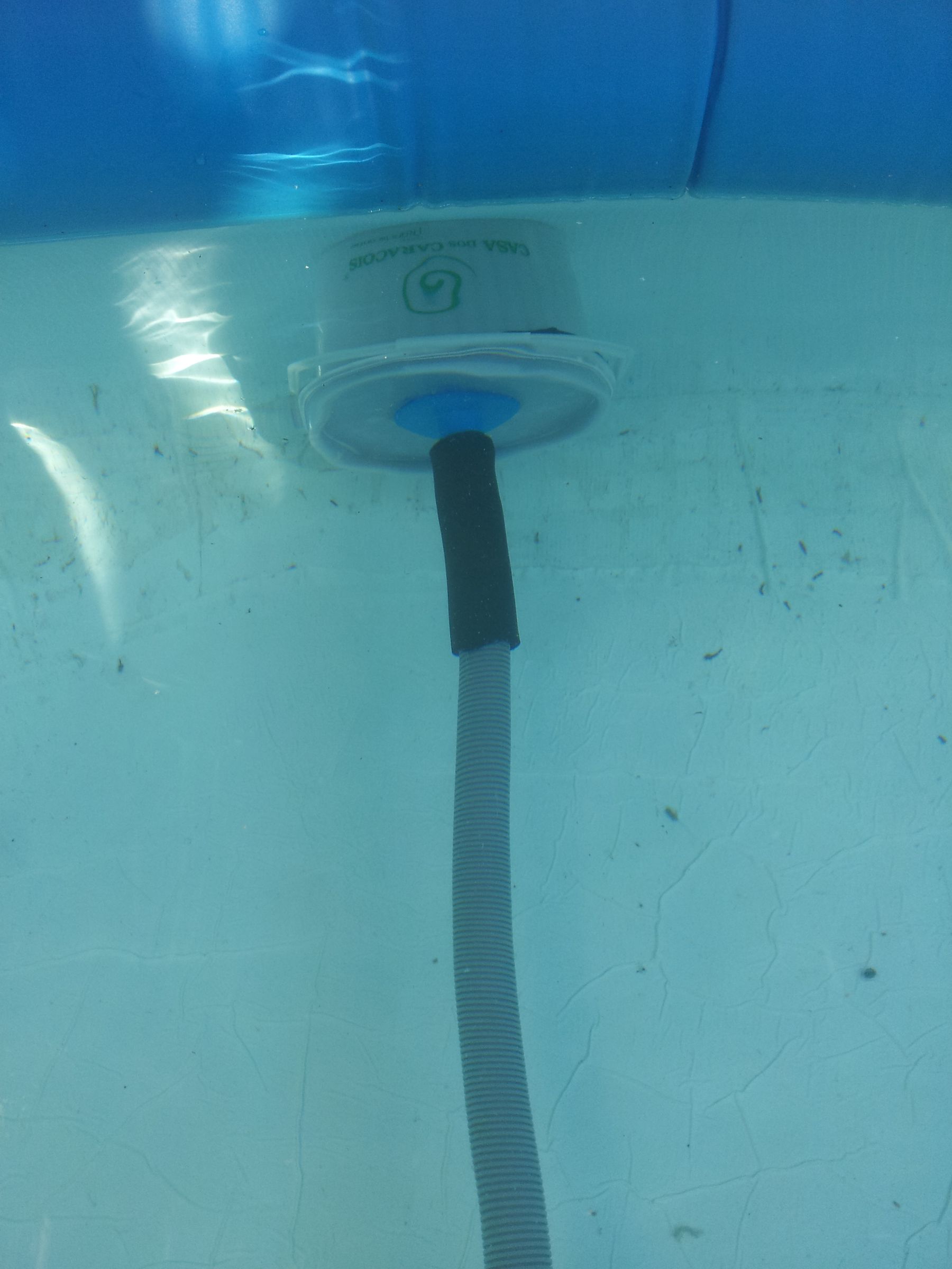 Above Ground Pool Pre Filter 4 Steps Instructables