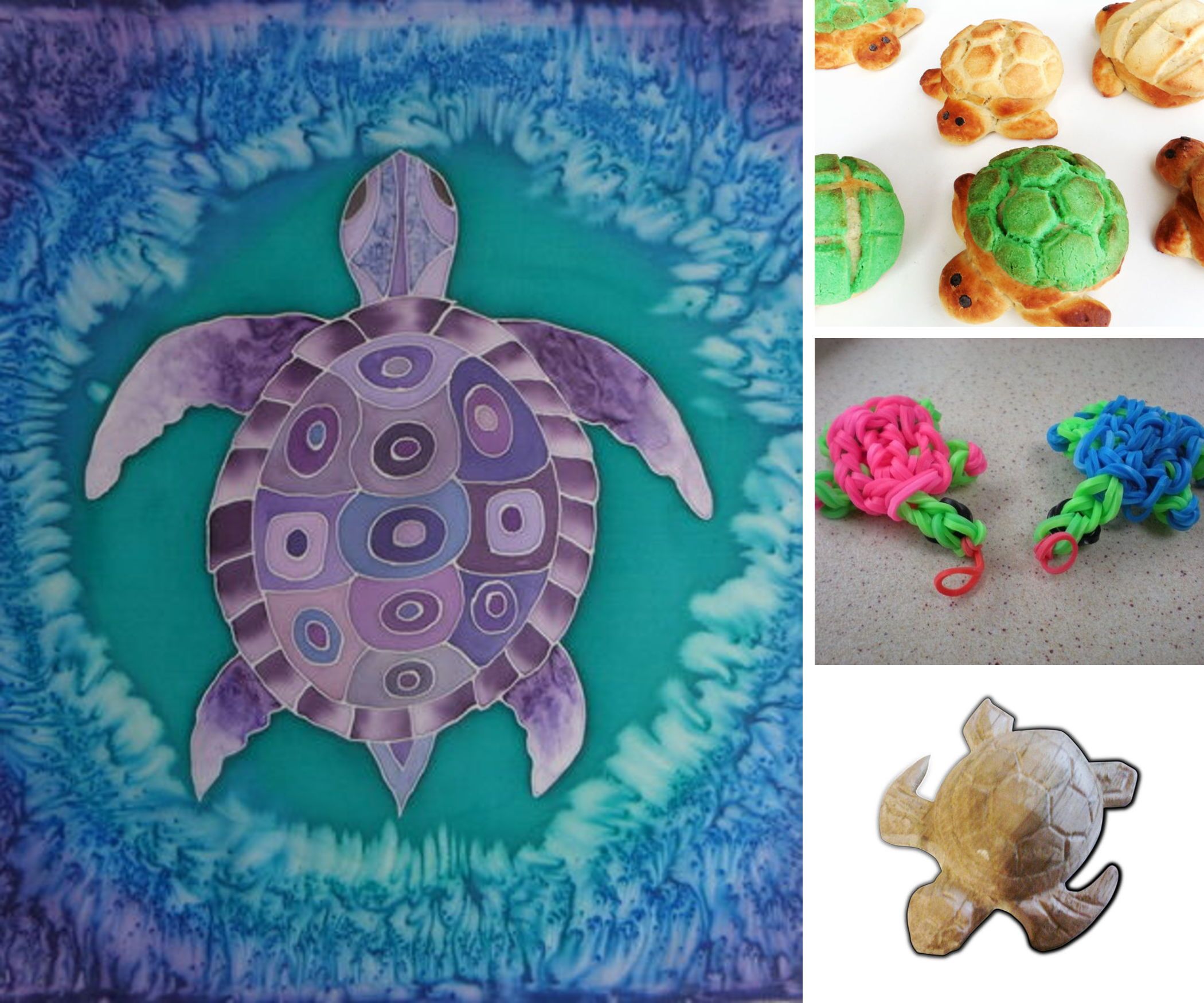 Turtles and Tortoises?