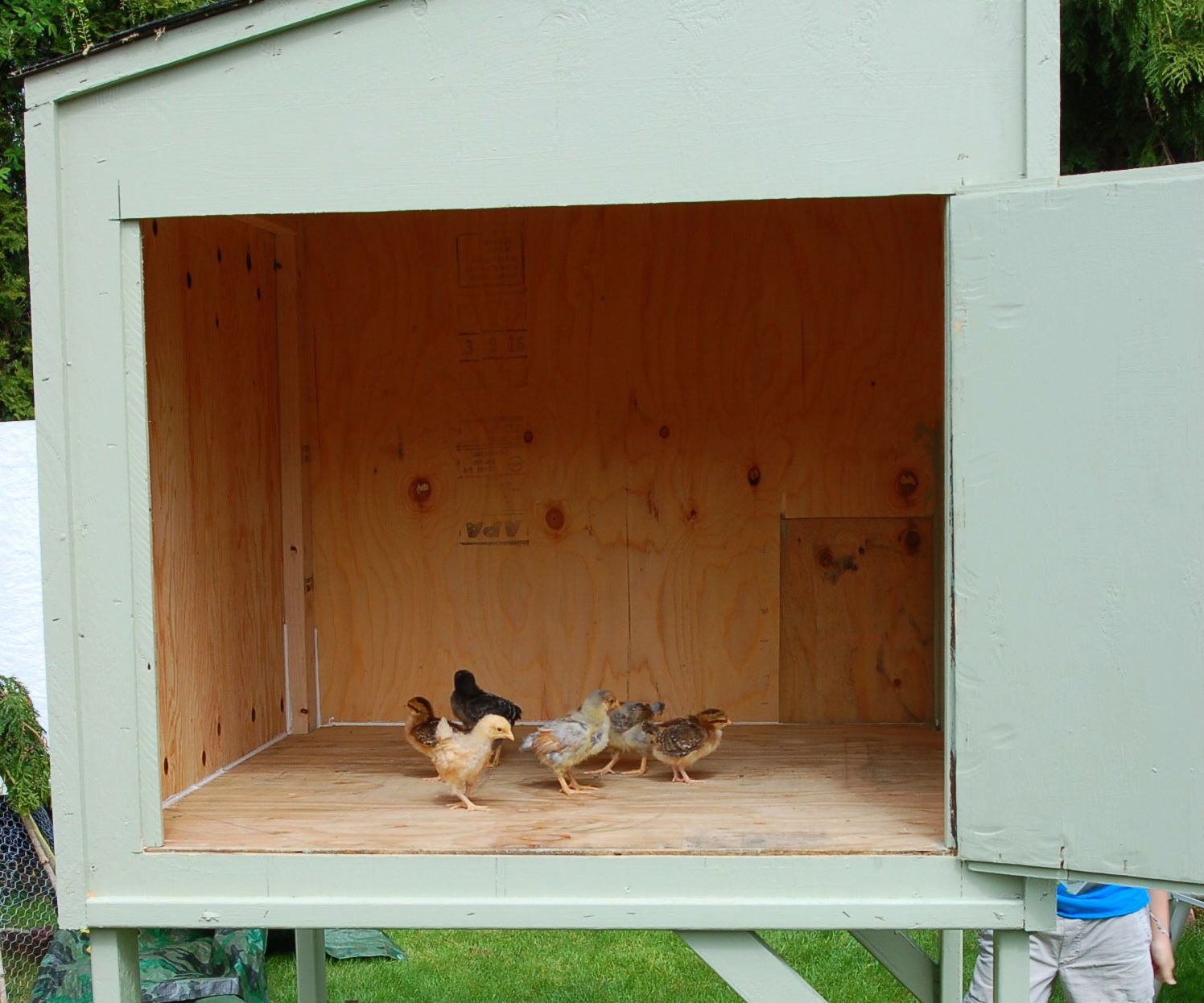 Chicken Coop... Big/Cheap/Stong