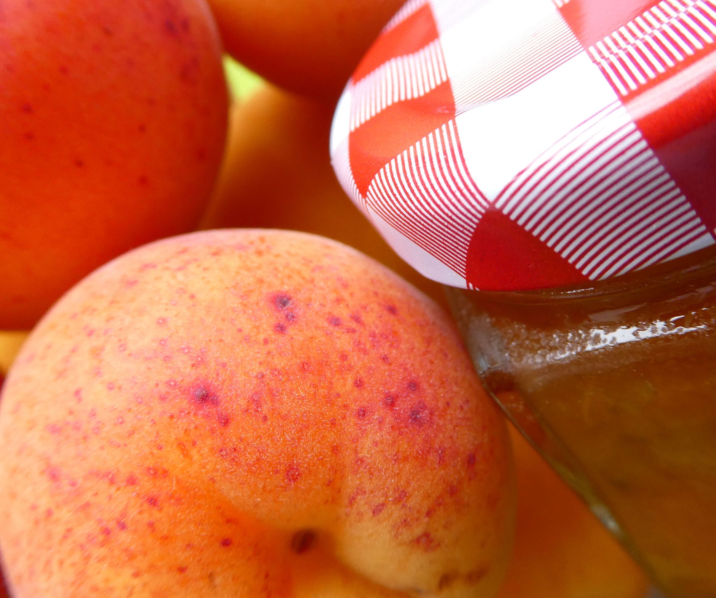 Apricot Chatney