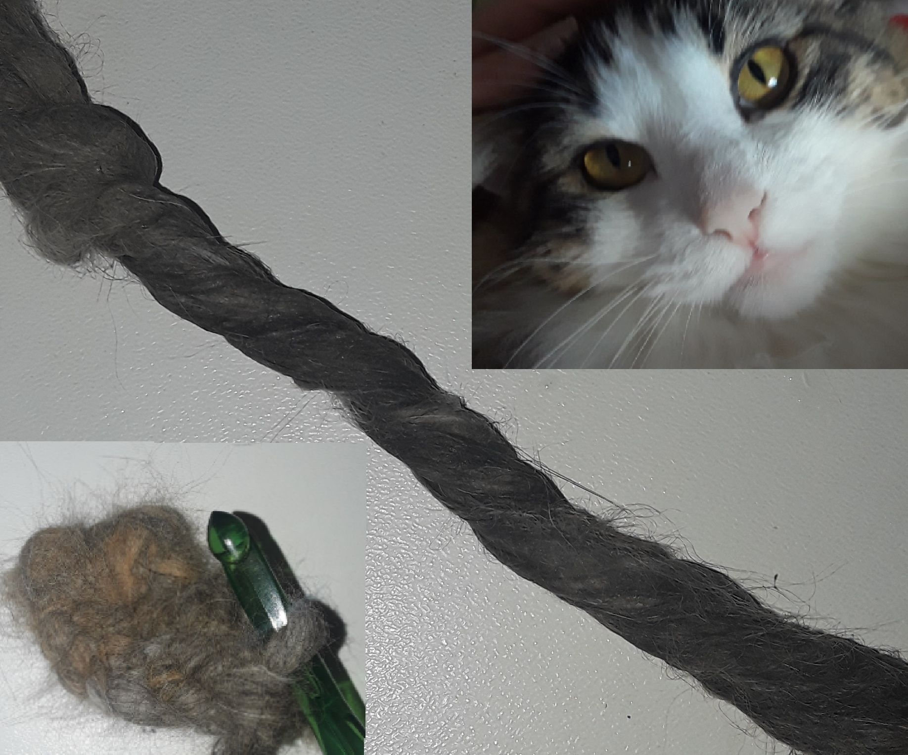 Shed Cat Hair Yarn for Decorative Purposes 