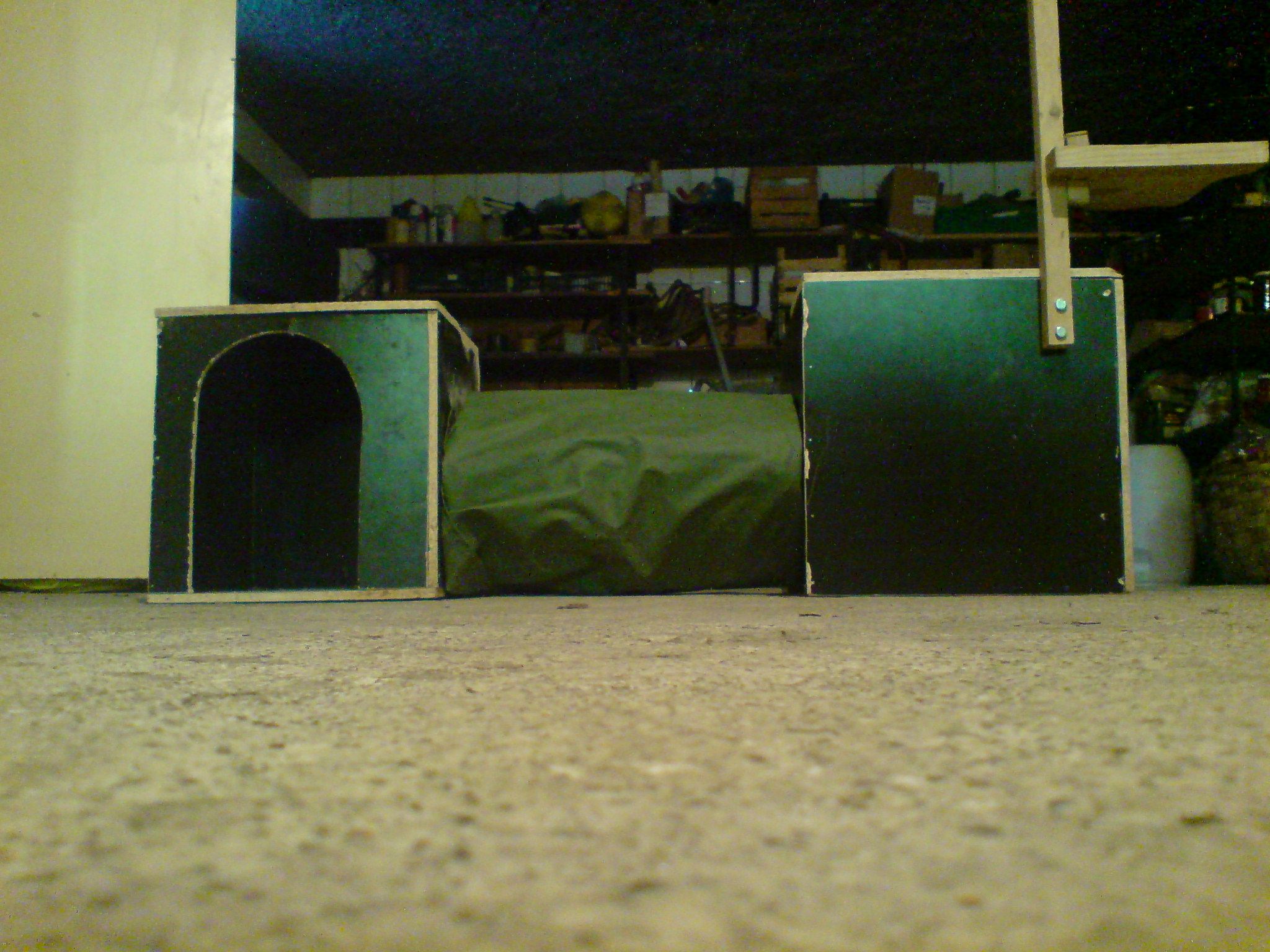 Cat's Playground - House